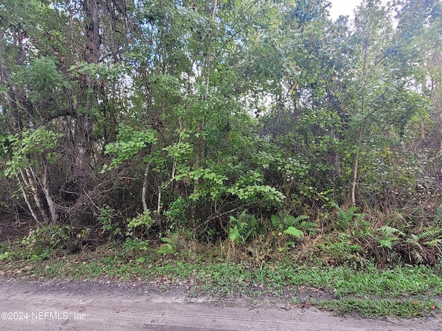 0 Logan Ave, Crescent City, FL 32112 - photo 11