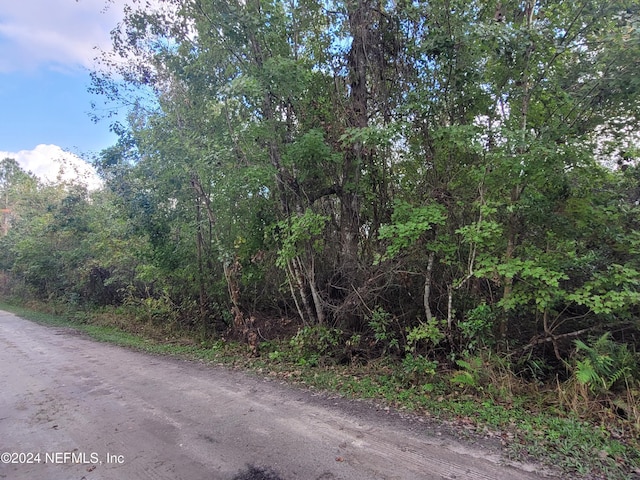 0 Logan Ave, Crescent City, FL 32112 - photo 12