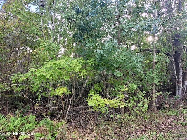 0 Logan Ave, Crescent City, FL 32112 - photo 13