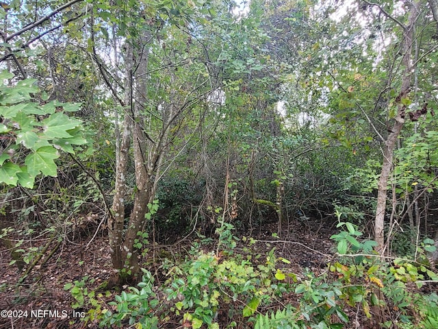 0 Logan Ave, Crescent City, FL 32112 - photo 14