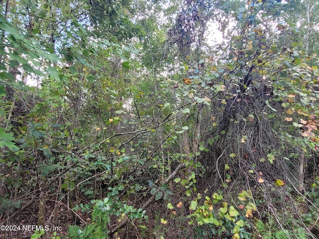 0 Logan Ave, Crescent City, FL 32112 - photo 5