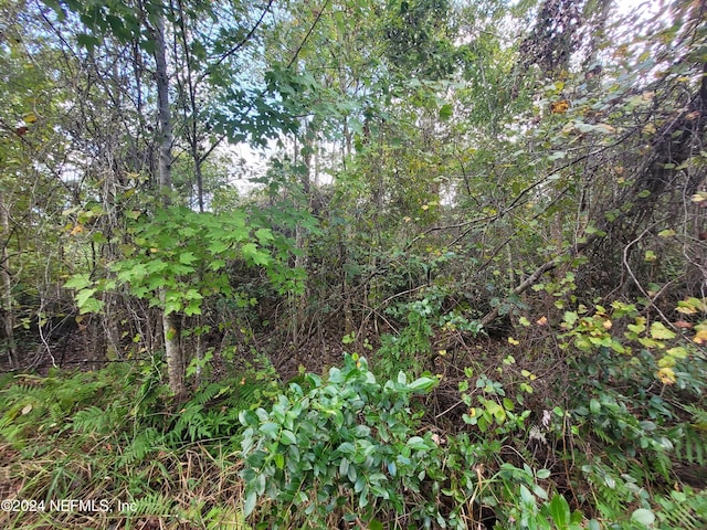 0 Logan Ave, Crescent City, FL 32112 - photo 7