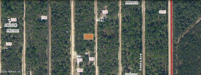 Listing photo 2 for 0000 Norman Ave, Interlachen FL 32148