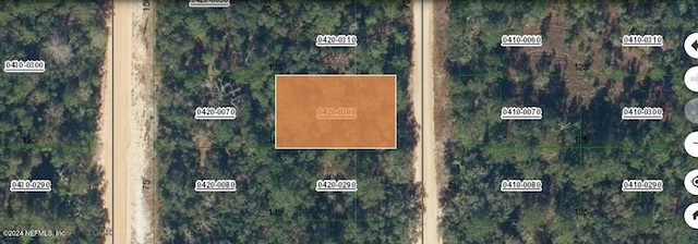 Listing photo 3 for 0000 Norman Ave, Interlachen FL 32148