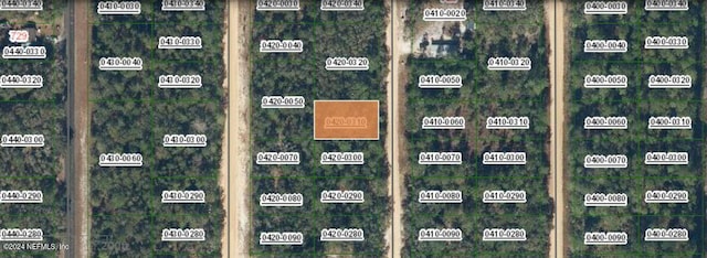 00000 Norman Ave, Interlachen FL, 32148 land for sale