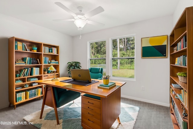 office space with ceiling fan and carpet flooring