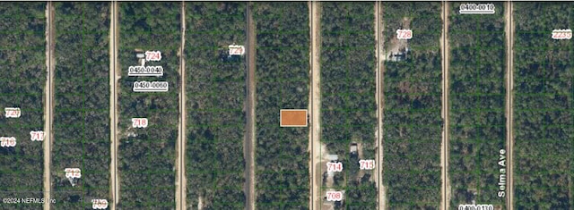 Listing photo 3 for 00 David Ave, Interlachen FL 32148