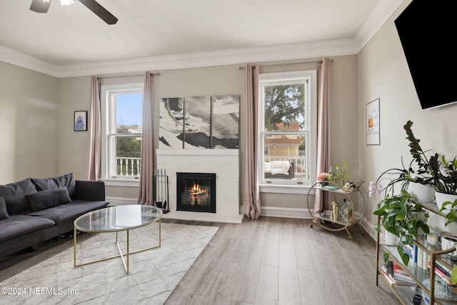 living room featuring ceiling fan, wood-type flooring, ornamental molding, and a fireplace