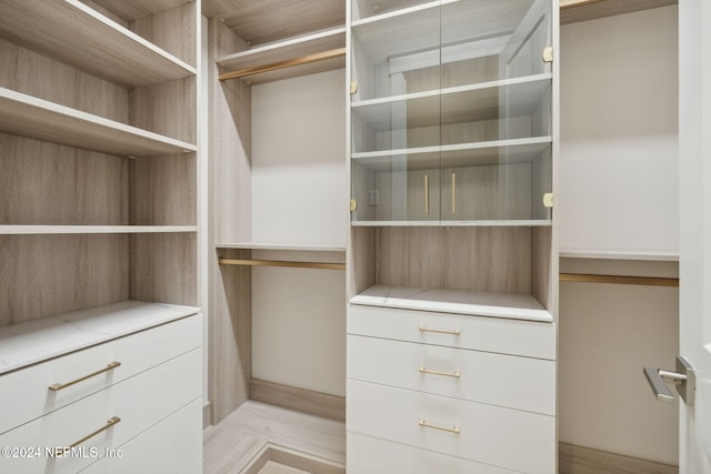 spacious closet with light wood-type flooring