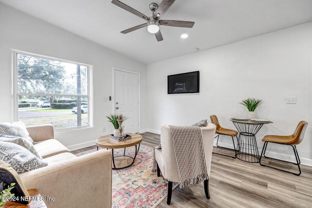 living room featuring ceiling fan and light wood-type flooring