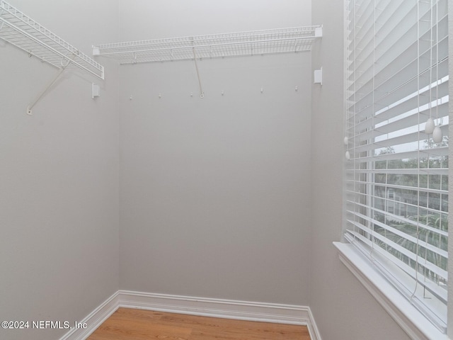 walk in closet with hardwood / wood-style floors