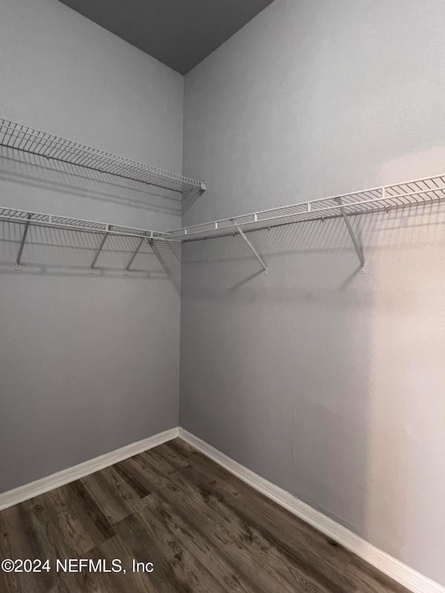 spacious closet featuring dark wood-type flooring