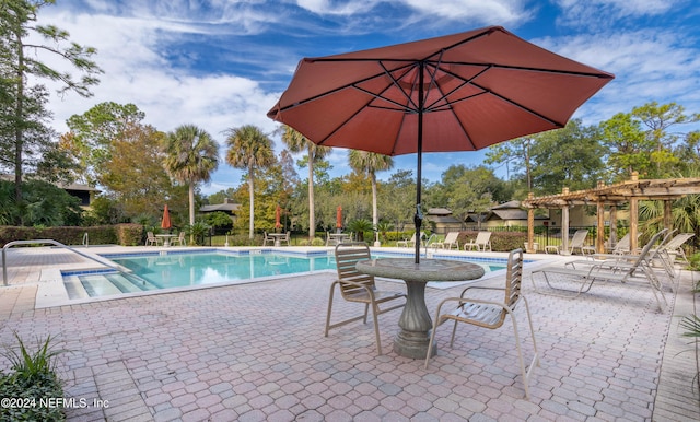 view of pool featuring a patio area