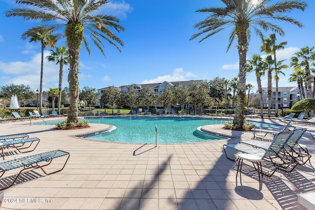 view of pool featuring a patio area