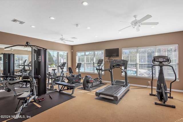 workout area with ceiling fan and carpet