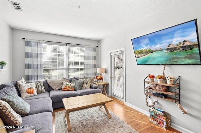 living room with hardwood / wood-style floors