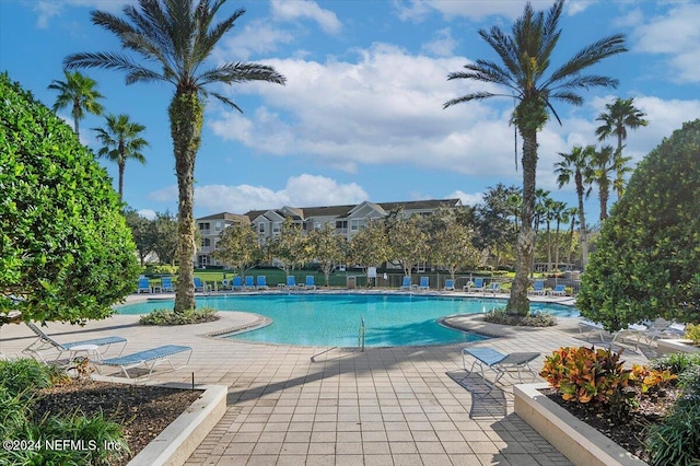 view of swimming pool with a patio