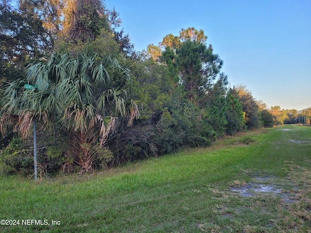 502 Gardenia Ave, Georgetown FL, 32139 land for sale