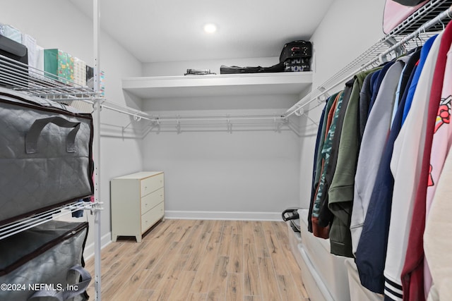 spacious closet featuring light hardwood / wood-style floors