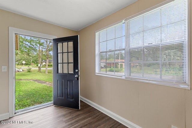 doorway with a wealth of natural light, hardwood / wood-style flooring, and crown molding