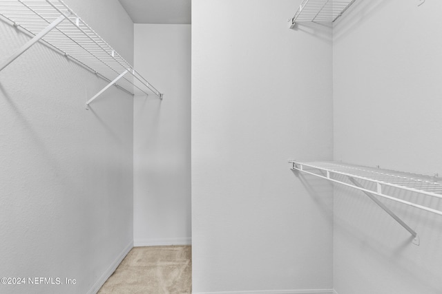 spacious closet featuring light colored carpet