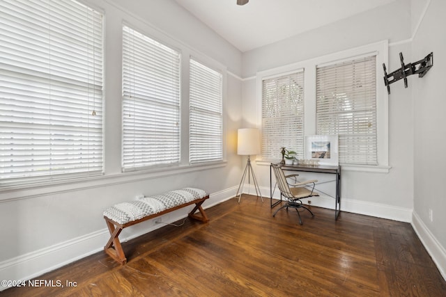 office featuring dark hardwood / wood-style floors