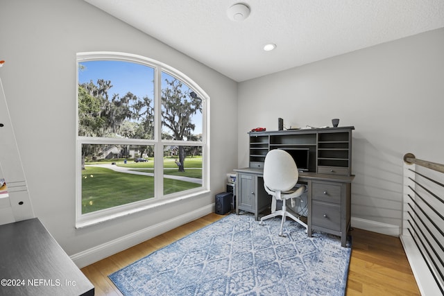 office featuring light hardwood / wood-style flooring, a healthy amount of sunlight, and a textured ceiling