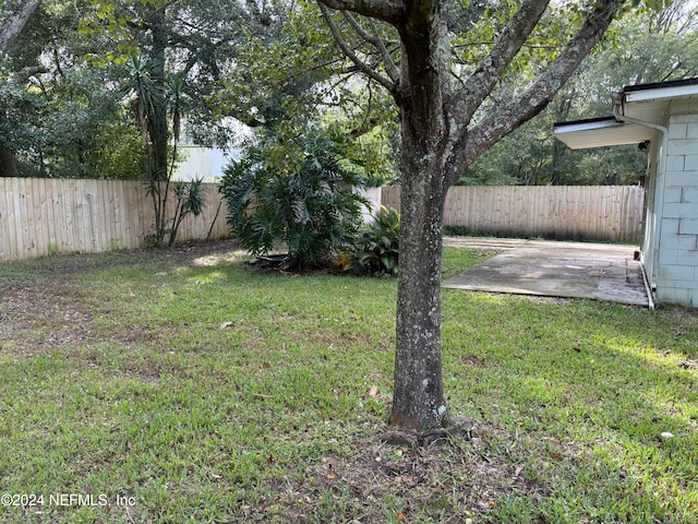 view of yard featuring a patio