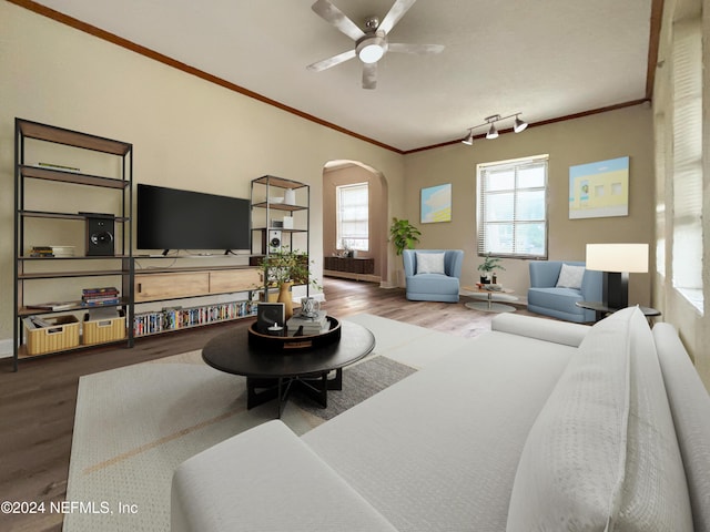 living room with ceiling fan, hardwood / wood-style floors, and ornamental molding