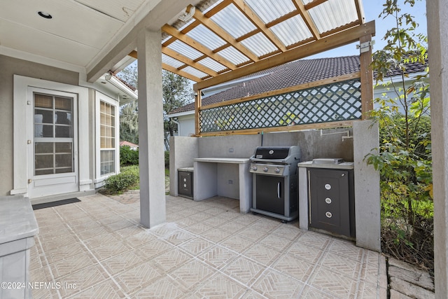 view of patio / terrace with area for grilling