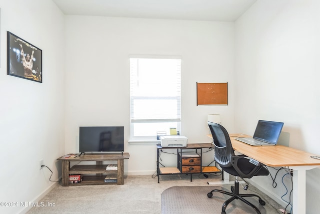 view of carpeted home office