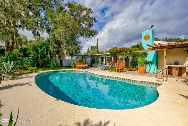 view of pool featuring a patio area