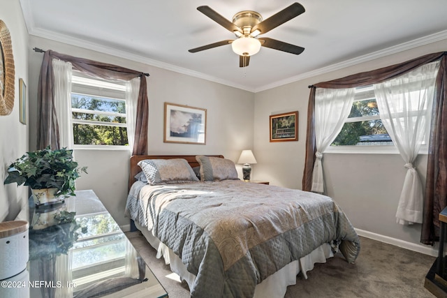 carpeted bedroom with multiple windows, crown molding, and ceiling fan