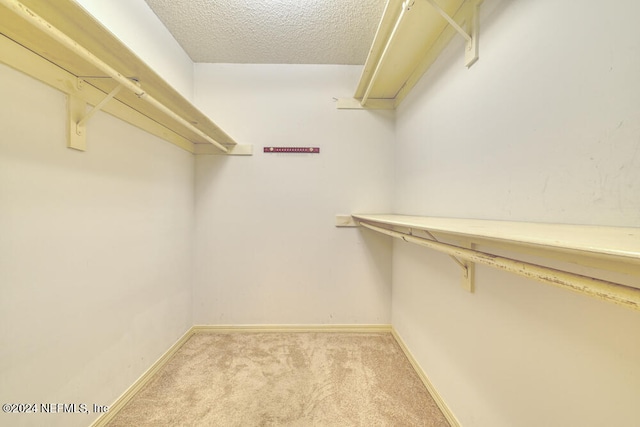 walk in closet featuring light colored carpet