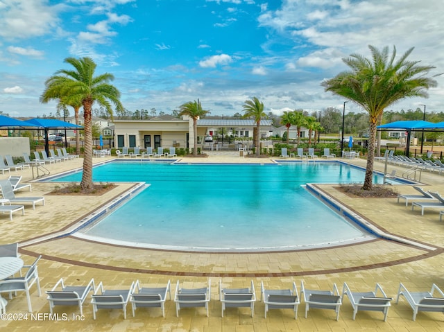 view of pool with a patio area