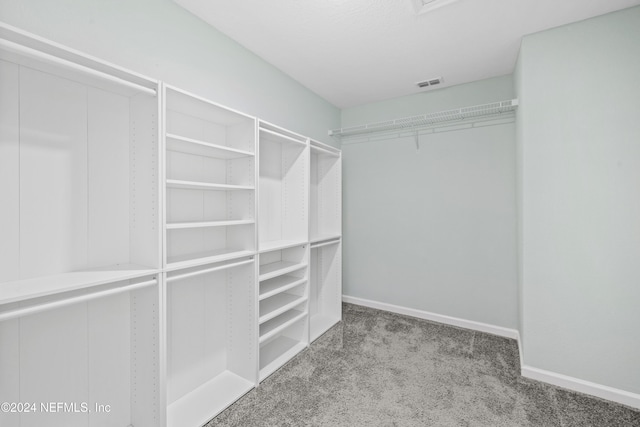 spacious closet with carpet floors