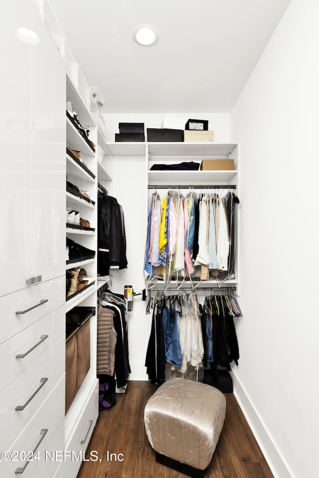 spacious closet featuring dark hardwood / wood-style flooring