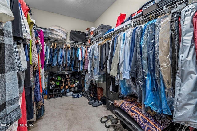 spacious closet with carpet