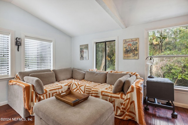 living room featuring lofted ceiling, plenty of natural light, dark wood-style floors, and baseboards