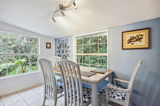 tiled dining area with lofted ceiling and a textured wall