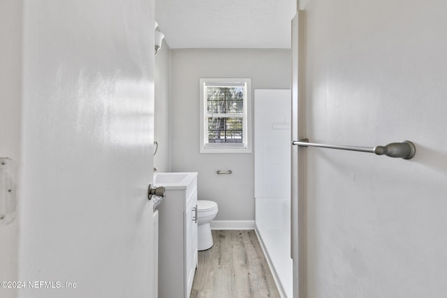 bathroom featuring toilet, vanity, and wood-type flooring