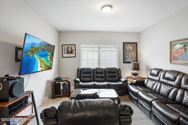 living room featuring light hardwood / wood-style flooring