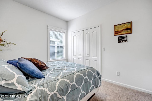 bedroom featuring a closet and carpet floors