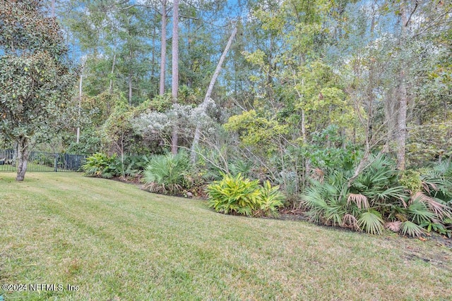 130 Wayfare Ln, Jacksonville, FL 32081 - view of yard