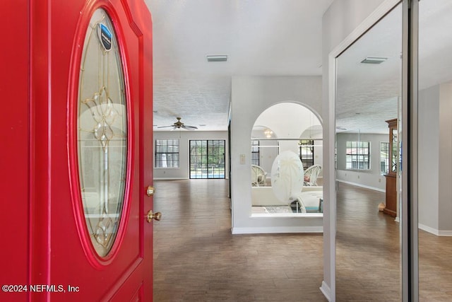 foyer featuring dark hardwood / wood-style flooring and ceiling fan