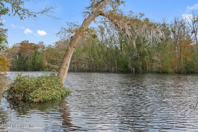 property view of water