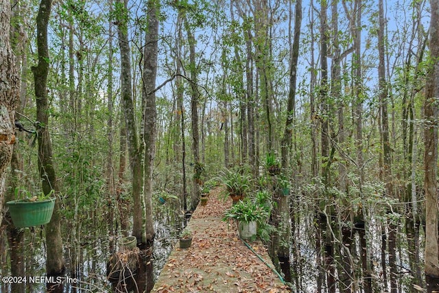 view of nature