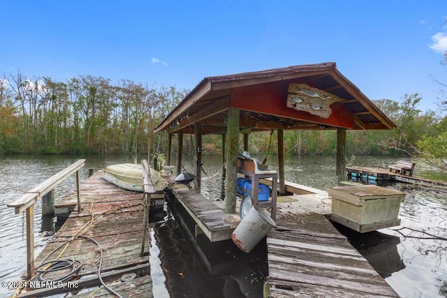 dock area featuring a water view