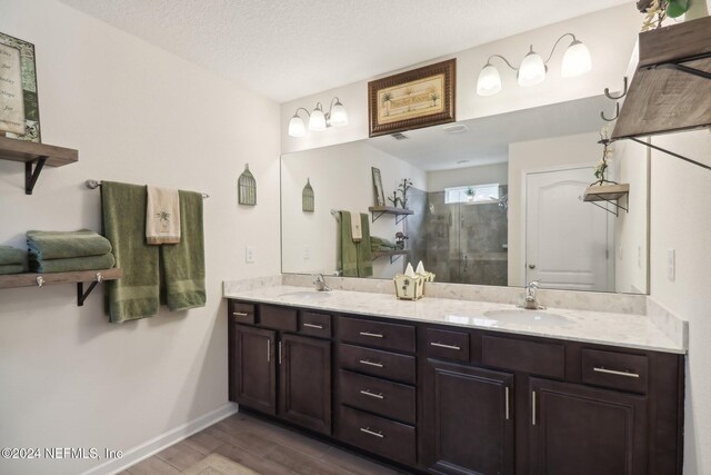 bathroom featuring vanity, a textured ceiling, and walk in shower