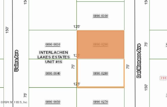 0 Del Monaco Ave, Interlachen FL, 32148 land for sale